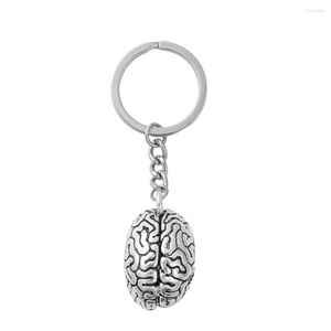 Keychains Doreenbeads 3D Keychain Keyring Key Chains Anatomical Human Cerebrum Brain Silver Kleur 8,7 cm (3 3/8 