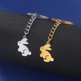 Porte-clés Dreamtimes mignon petit animal porte-clés en acier inoxydable accessoires de voiture porte-clés pendentif bijoux exquis cadeau