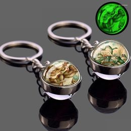 Keychains Esspoc Trendy Anime Keychain Luminous Forest Animal Po Glass Balls voor vrouwen Girls Kerstcadeau Sieraden Miri22