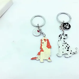 Keychains Sac cadeau drôle Pendant mignon clés décorative Hook Metal Metal Dog Tag Keychain Keyring