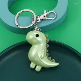Keychains groene dinosaurus sleutelhanger acryl 3D dierauto sleutel ring roestvrij staal zilveren kleur ketting kleurrijke rugzak hangende sieraden