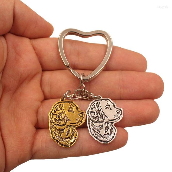 Llaveros Labrador Retriever Perro Animal Antiguo Oro Plata Plateado Metal Colgante Llavero Para Bolsa Coche Mujeres Hombres K145