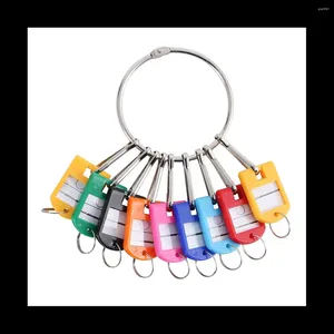 Sleutelhangers Draagbare metalen ringsleutelorganizer met 10 veerhaken Tags en labelvenster