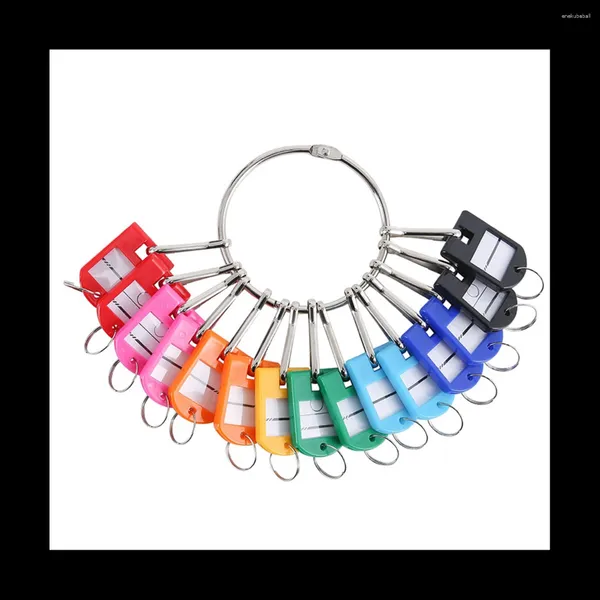 Llaveros Organizador de llaves de anillo de metal portátil con 20 etiquetas de ganchos de resorte y ventana de etiquetas