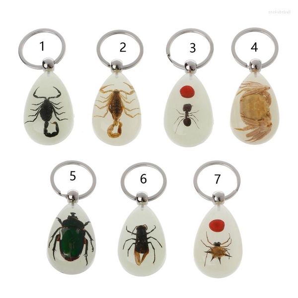 Porte-clés résine insecte porte-clés lumineux Scorpion spécimen pendentif scénique touristique Souvenirs ambre bijoux à la mode