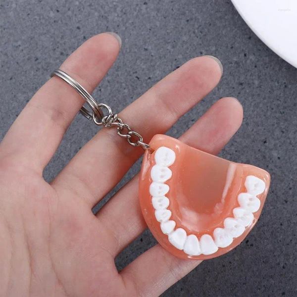 Llaveros Llaveros de resina Bolsa Colgante Anillos de coche Moda creativa Diente Molar Mandíbula superior Modelo Dentadura postiza