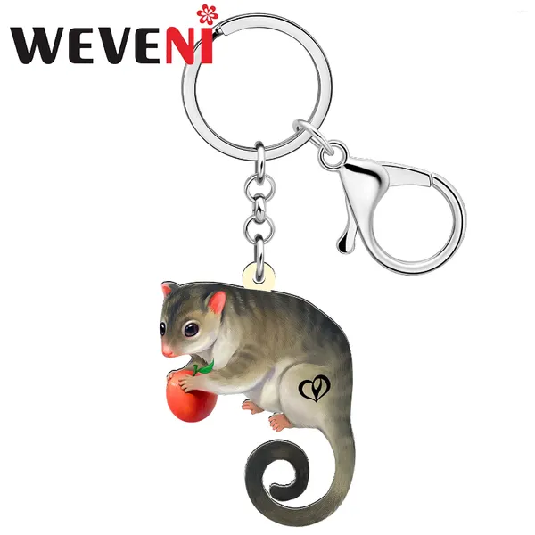 Llaveros WEVENI Acrílico Lindo Anime Opossum Animal Llavero Hangbag Bolsa de escuela Anillo Joyería Regalos para mujeres Niños Niñas