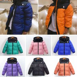 Niños niños abajo abrigo NF diseñador 2023 chaqueta de invierno niños niñas al aire libre abajo con capucha caliente parka negro chaquetas acolchadas letra impresión ropa outwear rompevientos