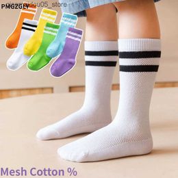 Kids Socks Boys Socks Summer Childrens Socks Solid Color Cotton Girls Boys Socks Childrens Striped Sports Sokken Leeftijden 1-8 Q240413