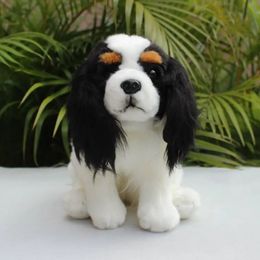 King Charles Spaniel anime mignon en peluche chien en peluche jouets animaux réels simulation de poupée en peluche kawai cadeaux 240401