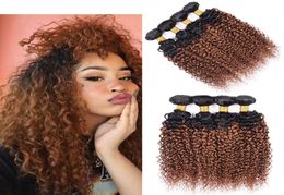 Kinky Curly 1B30 Human Hair Weave 4 Bundels met kleur Maleisische Braziliaanse Peruaanse maagdelijke maagdelijk HURS HAAR BUNDLES OMBRUR AUBURN 4PCSL7537467