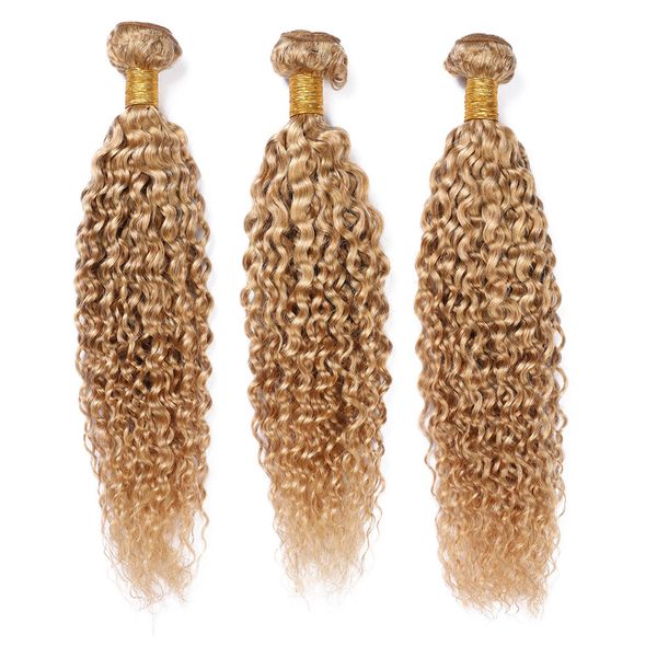 Kinky Curly # 27 Paquetes de tejido de cabello humano rubio miel Fresa Rubio Cabello humano rizado malasio 3 paquetes Tramas de cabello virgen marrón claro