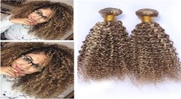 Kinky Curly 8613 Brown Mixed rubio color rubio Virgen Virgin Malasia Bundles de cabello humano 3 PCS Highglight Mix Piano Color Human Hair W9257546