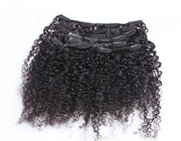 Clip frisé crépus dans les extensions de cheveux clip afro-américain dans les extensions de cheveux humains 100g mongol afro crépus bouclés clip ins Hair6610279