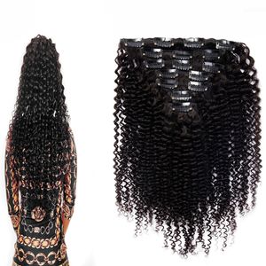 Kinky Curly Clip In Human Hair Extensions 100% Natural Hair Clip Ins 100g clip in natural curly brazilian hair extensions