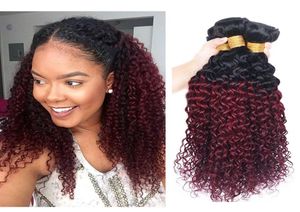 Crépus bouclés cheveux humains paquets Ombre 1B99J Extension de cheveux brésilien vierge deux tons 1B99J rouge foncé Remy cheveux tisse 1026 pouces2829949