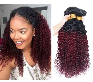 Crépus bouclés cheveux humains paquets Ombre 1B99J Extension de cheveux brésilien vierge deux tons 1B99J rouge foncé Remy cheveux tisse 1026 pouces4937753