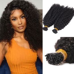 Kinky Curly I Tip Extensions de cheveux humains Naturel Noir Micro liens Kératine Itip Hair 100g