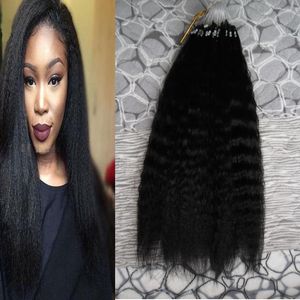 Kinky Krullend Micro Loop Menselijk Hair Extensions 100g Afro Kinky Krullend Micro Ring Hair Extensions 100s Maagd Braziliaans Kinky Krullend Haar