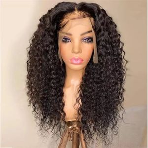 Kinky Curly Cheveux Synthétiques Avant de Lacet Perruques Lacefront Perruques De Cheveux Humains Perruque P047