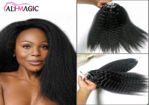 Kinky Straight Curly Micro Loop Extension de cheveux Micro Ring Hair 18quot20quot22quot24quot 70g 100g 10 couleurs disponibles China4750310