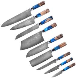 Ensembles de couteaux de chef de cuisine Damas 67 couches VG10 JapaneseSharp Chef Santoku Couteau de boucher utilitaire Filet Couteau à couperet Résine Bois H1174044