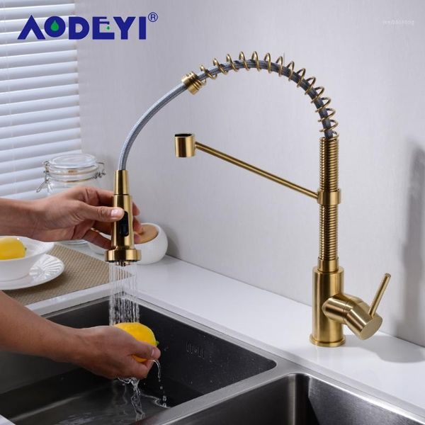 Robinets de cuisine AODEYI Double Mode Laiton Ressort Robinet Évier Mitigeur Bec Pivotant Et Eau Froide Torneira Or Brossé 13-036G1