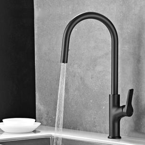 Keukenkranen zwart kraan verborgen ontwerp uittreksel sprinkler enkele handgreep koude en dubbele bedieningselementen