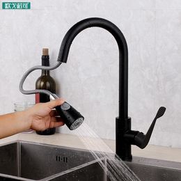 Robinets de cuisine Surface noire 2 en 1 pulvérisateur Pommeau de douche Pull Out Faucet1