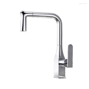 Robinets de cuisine Cuivre Chrome / Noir Robinet Pull Out Pivotant Eau Lave-Vaisselle Mitigeur Froid Mitigeurs