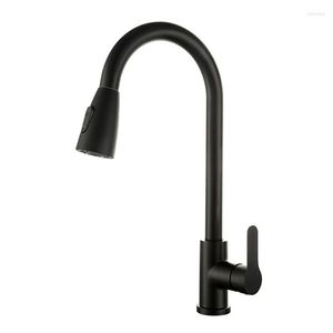 Robinets de cuisine Robinet Pull Out 2 Fonction Jet Pulvérisateur Mitigeur En Acier Inoxydable Évier Mitigeur D'eau Froide Robinets