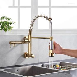 Robinets de cuisine Golden Spring Robinet Pivotant Côté Pulvérisateur Double Bec Robinet Évier Eau Froide 360 Rotation Noir Chrome