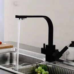 Robinets de cuisine robinets de bassin noir multifonctionnel Crines d'eau potable mélangeur froid purement brossé pur