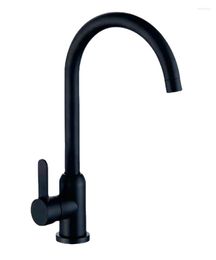 Kitchen Faucets Stainless Steel Faucet Ball Vegetable Basin Cold And Rotating Black Sink