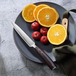 Juego de cuchillos de cocina, herramienta de corte de acero inoxidable, cuchillo de cocina de estilo occidental, cuchillo para pelar frutas, cuchillo de cocina Utilidad