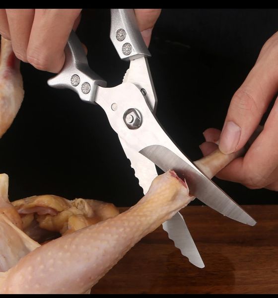 Couteaux de cuisine, ciseaux, ciseaux à os de poulet, coupe-poisson de canard, échelle en acier inoxydable, couteau de cuisine propre 231213