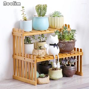 Cuisine Storage 2 couches Bamboo Spice Jar Holders Assaising Bottles Rack Office Office Bureau Books Shelf Flower Pot Stand