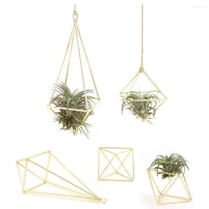 Support de plantes à Air de rangement de cuisine, 5 paquets, décor en métal, cintre géométrique moderne, jardinière de plantes suspendues, présentoir de table