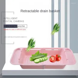 Keukenopslag afvoermand plastic duurzaam niet-toxisch verstelbare spoeling en gereedschap rek rechthoek reukloze hoge zuiverheid