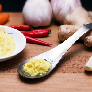 Outil de cuisine Forme de cuillère Mélangeur de citron en acier inoxydable Râpe à gingembre Wasabi Outils de broyage à l'ail Râpe à fromage Cuillères à mélanger DH9575