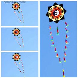 Accesorios para cometas Envío gratis 3D Gossip Kite Flying Toys para niños Ripstop Nylon Cometas Carrete Kaixuan Kite Factory Albatros Kites Q231104