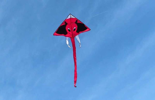 Accessoires de cerf-volant 6pcs Elephant Kites for Kids Kites Line String Line Weifang Kites Wholesale Factory Ikite roman Toys for Children 2023