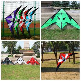 Kite Accessoires Gratis Verzending dual line stunt vliegers vliegen power vliegers fabriek strand vliegers voor volwassenen vliegers wind storm kite professionele kite Q231104