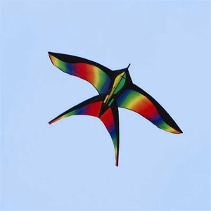 Accessoires de cerf-volant facile à voler arc-en-ciel Kite Kite Outdoor Fun Sports Beach Triangle Kite Beginner Childrens Outdoor Toy Kite Gift WX5.21