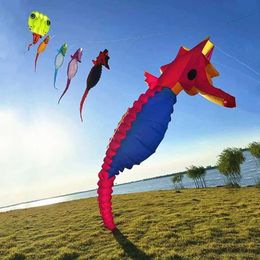 Vliegeraccessoires gratis levering van Seahorse Kit Adult Soft Kit Seriële vlucht Outdoor speelgoed ondoordringbare kit Hangende windkit Dragon Kit WX5.21