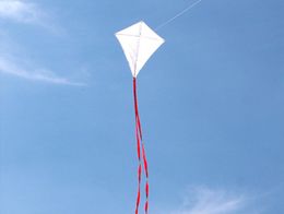 Vliegeraccessoires kinderen blanco diy vlieger 10pcslot lesgeven schilderen handvatlijn buitenspeelgoed vliegen albatross fabriek 230320