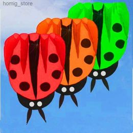 Kite Accessoires Gratis verzending Grote Ladybug Kite Buggy Geanimeerde vliegers voor kinderen opblaasbare vliegertekhand Vis Weifang Soft Kite Factory Ikite Y240416