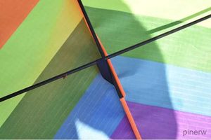 Vliegeraccessoires Gratis verzending grote regenboogvlieger 2 stks/partij met 50 m vlieggereedschap Outdoor Fun Sports vliegers Fabriek Kind Driehoek Kleur Vlieger speelgoed