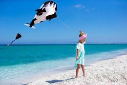 Accesorios de cometas Nuevo llegar al aire libre Fun Sports Sports Software de una sola línea Ballena / Dolphin Kite / Kites de animales con mango y 100m buena línea de vuelo