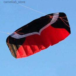 Kite Accessoires Professionele 2m Stunt Dual Line Parafoil Kite Met Lijn Power Braid Zeilen Kitesurf Sport Strand Met Gereedschap Q231104